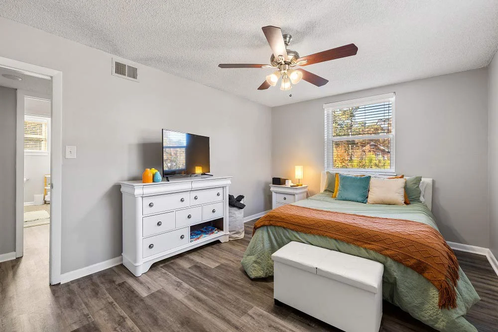 Apartment Amenities
