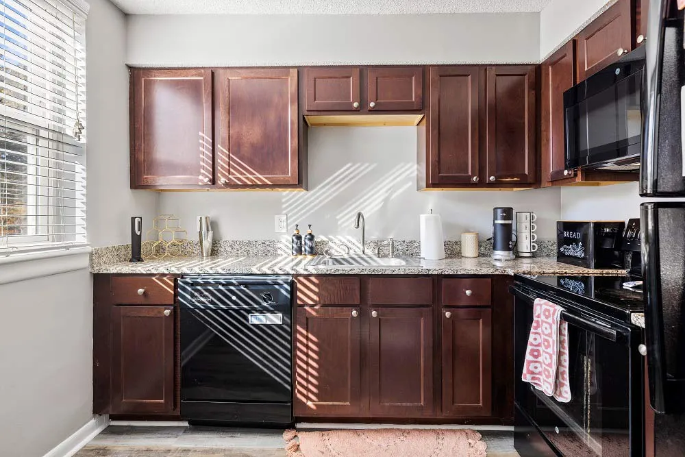 student apartments near ECU greenville nc pet friendly at The Quarterdeck